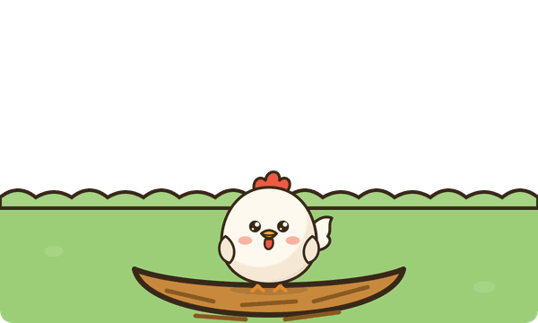 조금 자란 중닭